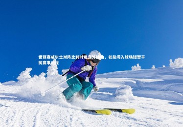 【fbapp】世预赛威尔士对阵比利时现意外插曲，老鼠闯入球场短暂干扰赛事进程